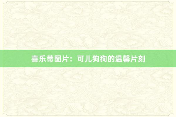 喜乐蒂图片：可儿狗狗的温馨片刻