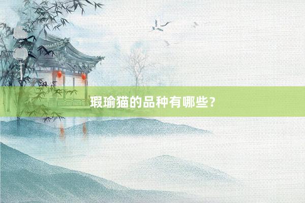 瑕瑜猫的品种有哪些？