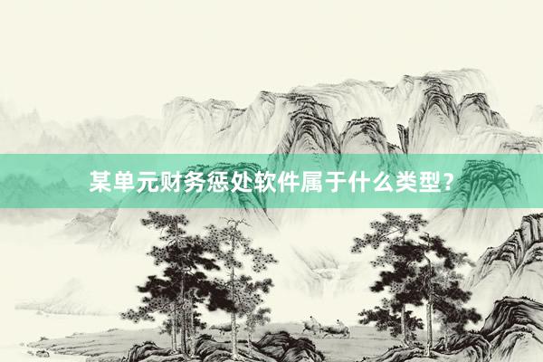 某单元财务惩处软件属于什么类型？