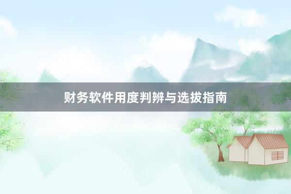 财务软件用度判辨与选拔指南