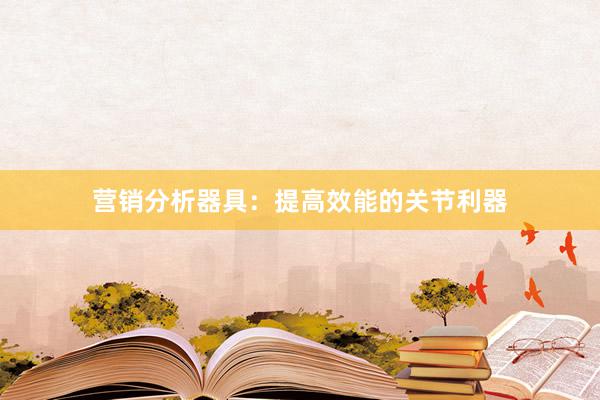 营销分析器具:提高效能的关节利器